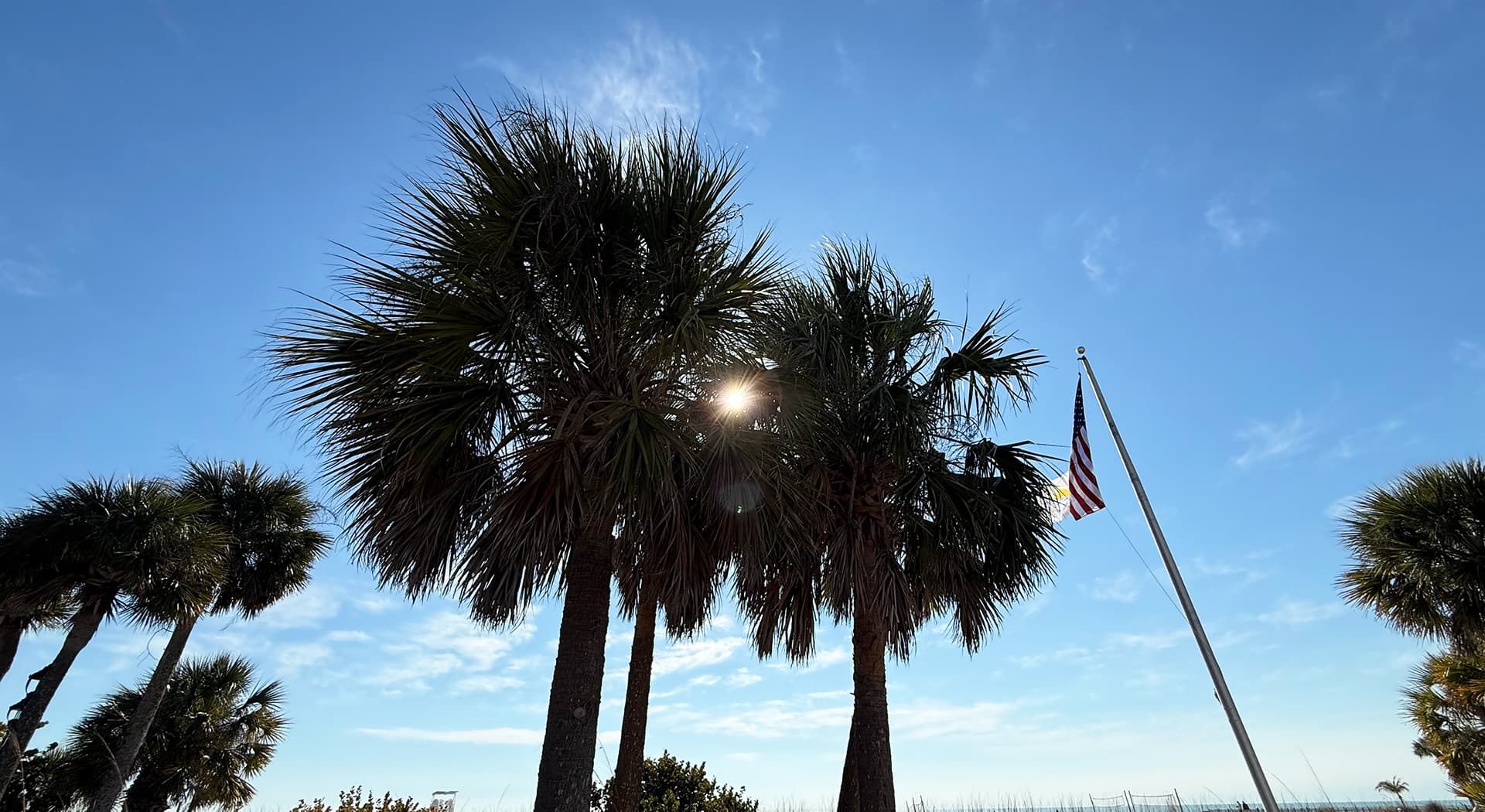 Silhouette of palm trees against a bright blue sky with the sun peeking through.